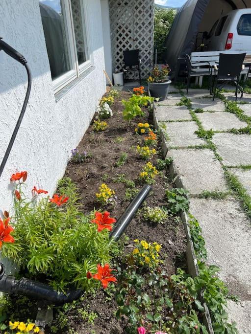 My Sweet Home Fauske Exterior photo